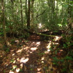 B5 - Feb 14, 2014 - Hike into Jungle at Totwol (17)