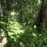 B5 - Feb 14, 2014 - Hike into Jungle at Totwol (19)