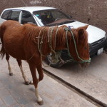 B2 - May 4, 2014 - Pisac (26)