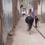 B2 - May 4, 2014 - Pisac (27)