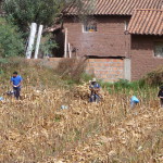 B3 - May 5, 2014 - Pisac (10)