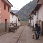 B6 - May 14, 2014 - Pisac (18)