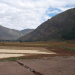 B6 - May 14, 2014 - Pisac (19)