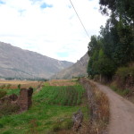 B6 - May 14, 2014 - Pisac (32)