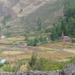 B6 - May 14, 2014 - Pisac (35)