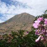 B6 - May 14, 2014 - Pisac (58)