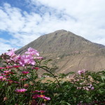 B6 - May 14, 2014 - Pisac (59)