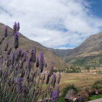 B6 - May 14, 2014 - Pisac (61)