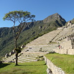 C5 - June 1, 2014 - Exploring Machu Picchu (07)