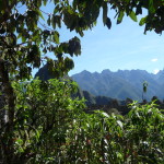 C5 - June 1, 2014 - Exploring Machu Picchu (33)