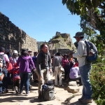 C5 - June 1, 2014 - Exploring Machu Picchu (34)