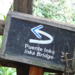 C6 - June 1, 2014 - Inca Bridge Trail (15)