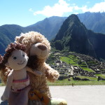 C7 - June 1, 2014 - Back to Machu Picchu (02)