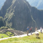 C7 - June 1, 2014 - Back to Machu Picchu (04)