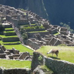 C7 - June 1, 2014 - Back to Machu Picchu (05)