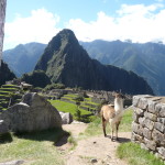 C7 - June 1, 2014 - Back to Machu Picchu (12)