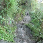 D1 - June 2, 2014 - Hiking Wayna Picchu (17)