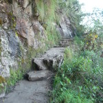 D1 - June 2, 2014 - Hiking Wayna Picchu (18)
