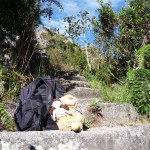 D1 - June 2, 2014 - Hiking Wayna Picchu (45)