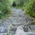 D1 - June 2, 2014 - Hiking Wayna Picchu (48)