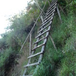 D1 - June 2, 2014 - Hiking Wayna Picchu (50)