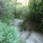 D1 - June 2, 2014 - Hiking Wayna Picchu (51)