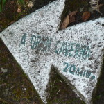 D1 - June 2, 2014 - Hiking Wayna Picchu (52)