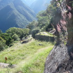 D1 - June 2, 2014 - Hiking Wayna Picchu (53)