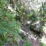 D1 - June 2, 2014 - Hiking Wayna Picchu (66)