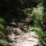 D1 - June 2, 2014 - Hiking Wayna Picchu (69)