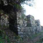 D1 - June 2, 2014 - Hiking Wayna Picchu (70)