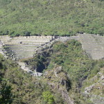 D1 - June 2, 2014 - Hiking Wayna Picchu (74)