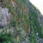 D1 - June 2, 2014 - Hiking Wayna Picchu (75)