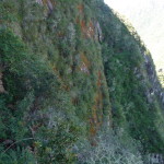 D1 - June 2, 2014 - Hiking Wayna Picchu (76)
