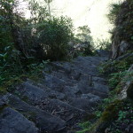 D1 - June 2, 2014 - Hiking Wayna Picchu (77)