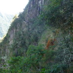 D1 - June 2, 2014 - Hiking Wayna Picchu (81)