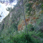 D1 - June 2, 2014 - Hiking Wayna Picchu (83)