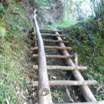 D1 - June 2, 2014 - Hiking Wayna Picchu (84)