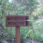 D1 - June 2, 2014 - Hiking Wayna Picchu (86)