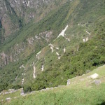 D2 - June 2, 2014 - Resting in Machu Picchu (12)