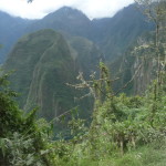 D2 - June 2, 2014 - Resting in Machu Picchu (14)