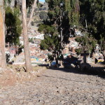 E3 - June 9, 2014 - Copacabana Bolivia (12)