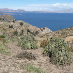 E5 - June 11, 2014 - Hiking Island of the Sun (107)