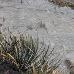 E5 - June 11, 2014 - Hiking Island of the Sun (36)