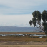 E6 - June 12, 2014 - Copacabana to Puno (21)