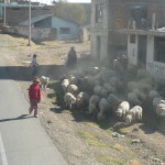 G1 - June 15, 2014 - Puno to Cusco (12)