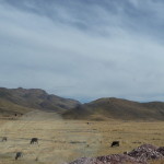 G1 - June 15, 2014 - Puno to Cusco (32)