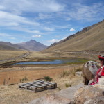 G1 - June 15, 2014 - Puno to Cusco (82)