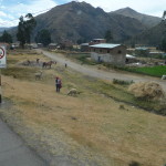 G1 - June 15, 2014 - Puno to Cusco (91)