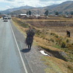 G1 - June 15, 2014 - Puno to Cusco (93)